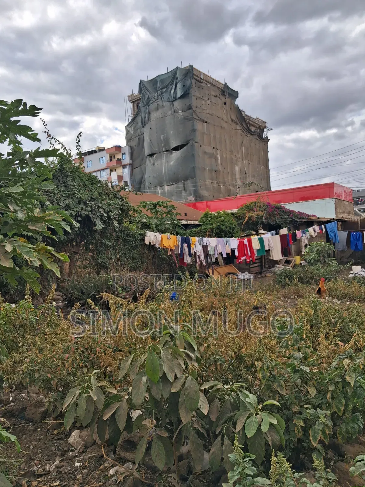 Ruiru Watalaam Prime Commercial 50x100 Plot Ready Title