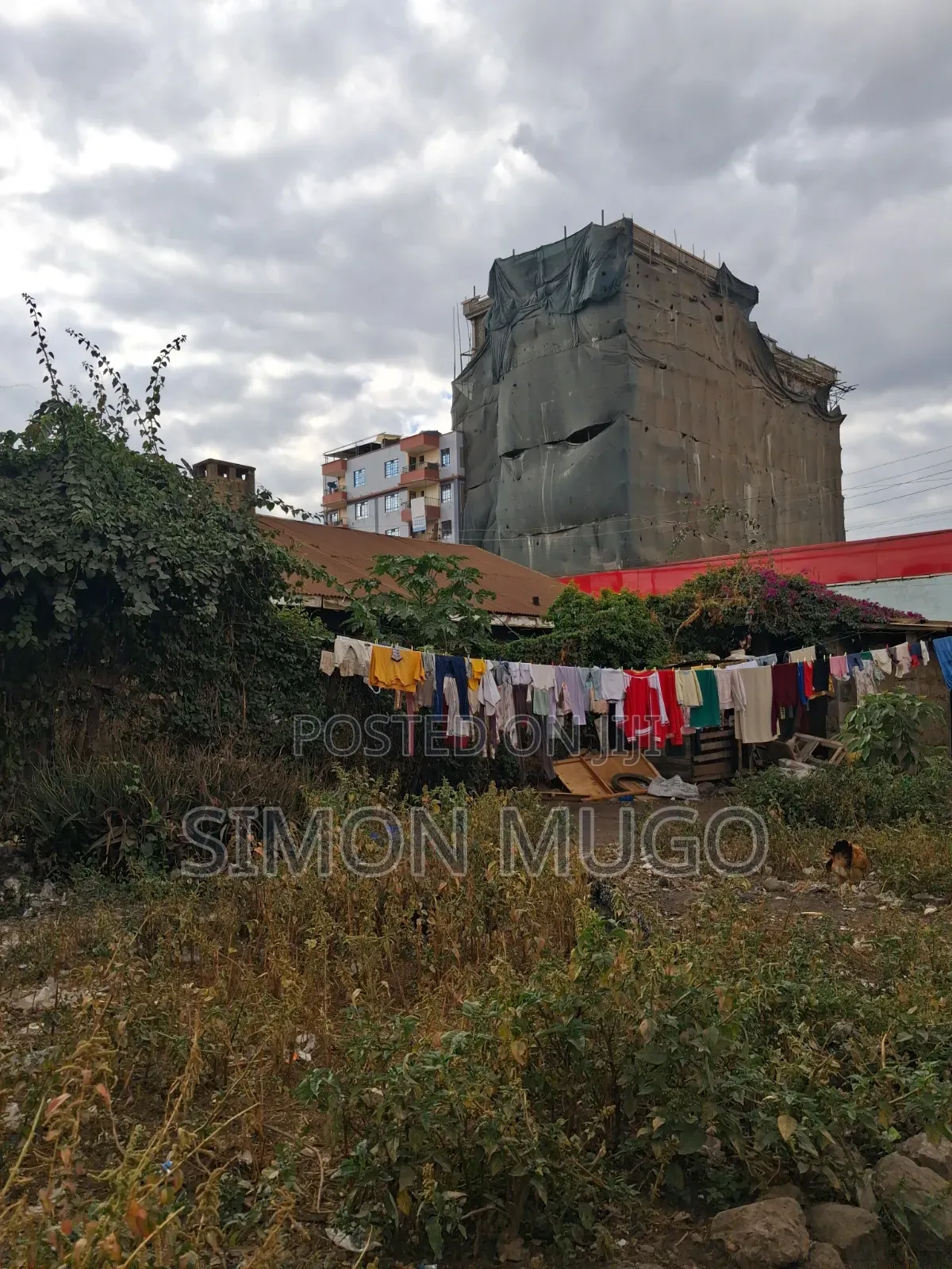 Ruiru Watalaam Prime Commercial 50x100 Plot Ready Title