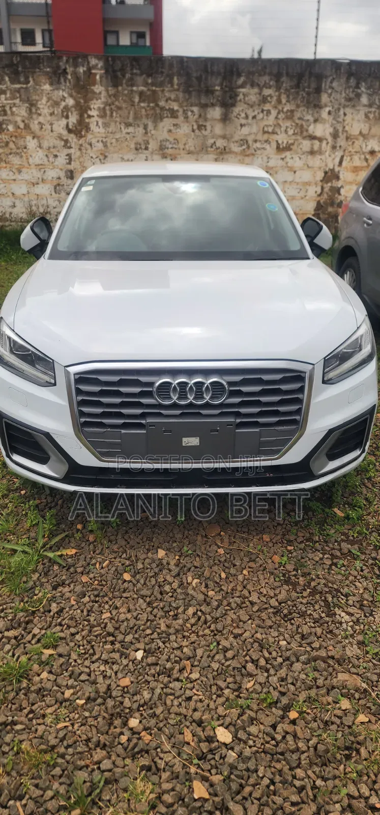Audi Q2 2019 White