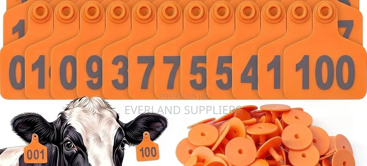 High-Visibility Ranch Ear Medium Tags - Numbered