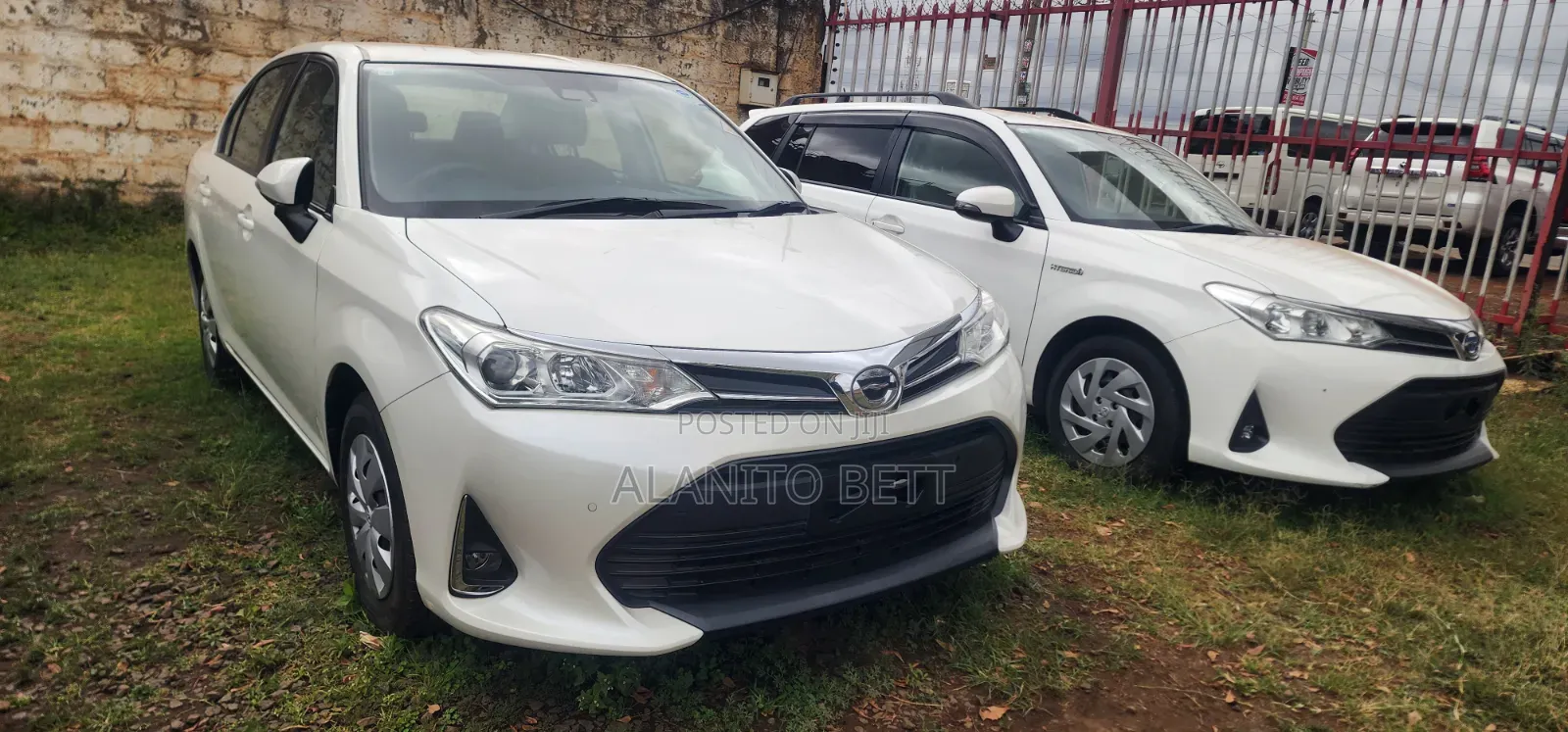 Toyota Axio 2019 White