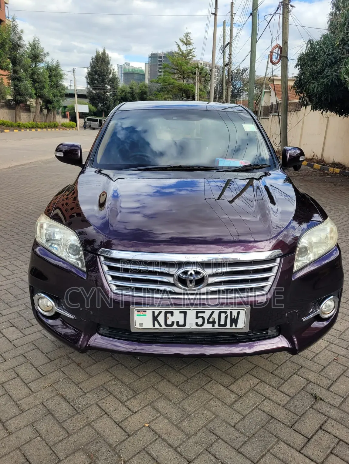 Toyota Vanguard 2010 Purple