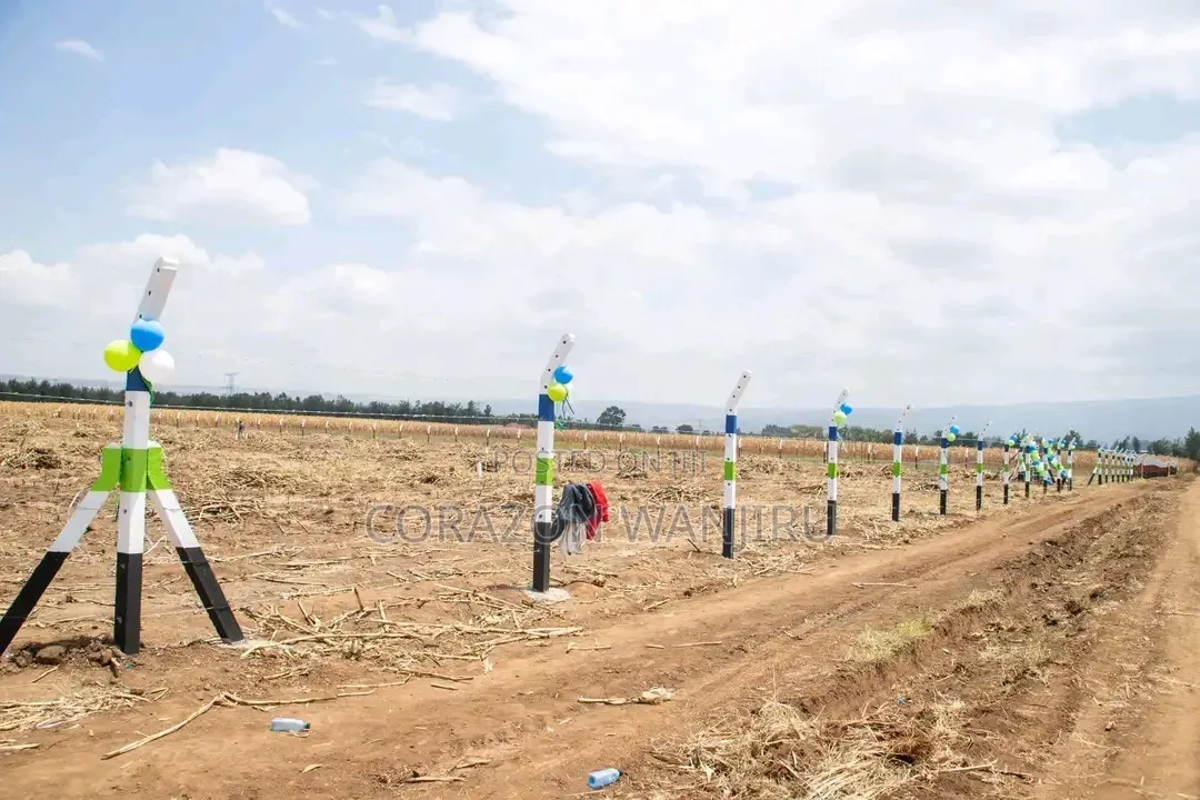 50*100plots in Sobea