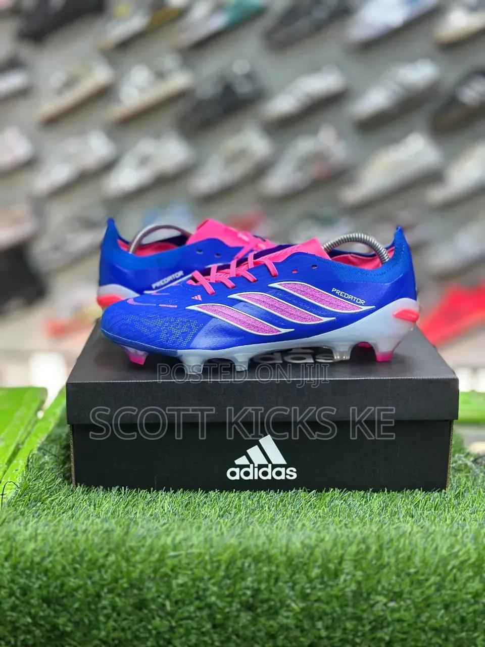 Adidas Predator 26 Elite FG Blue Laces