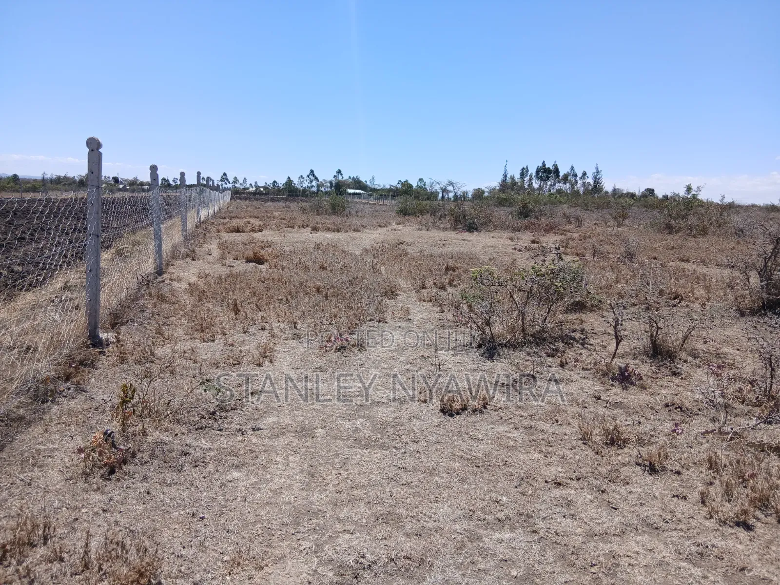 2 Acreas Nanyuki Mirera