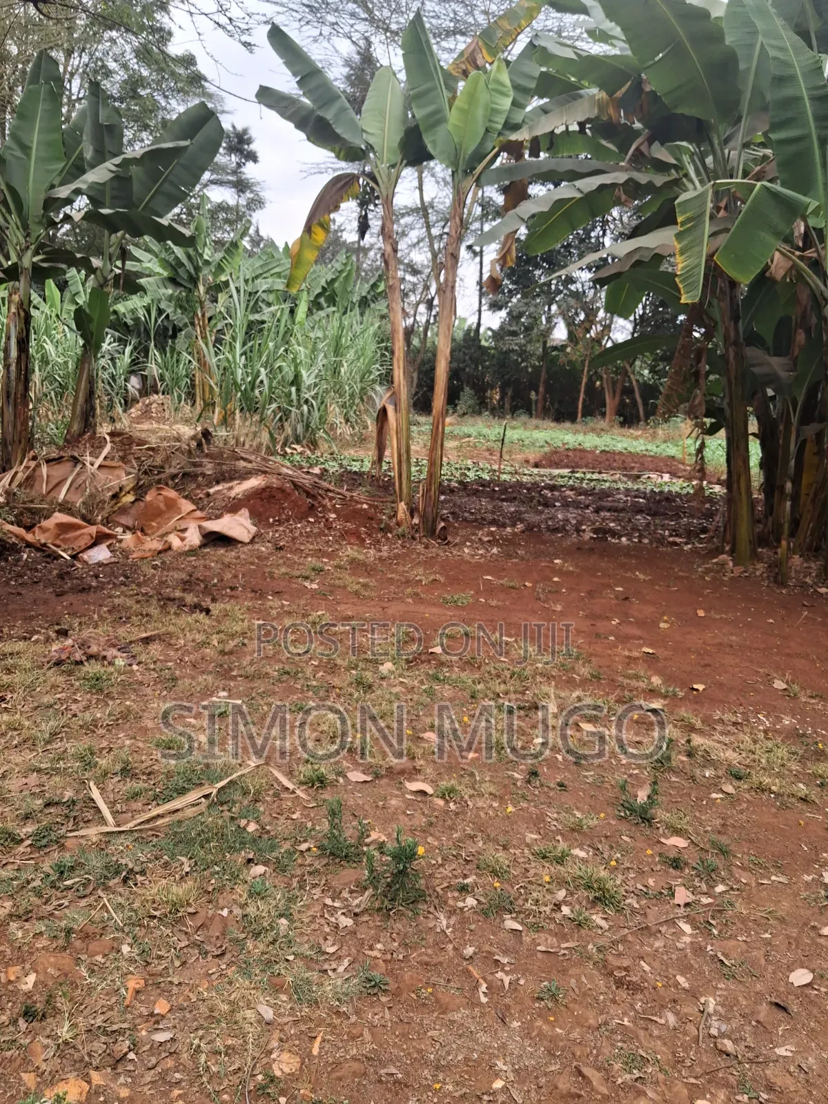 Kiambu Road Prime Fully Serviced 1/2ac at Kivulini Estate Ready Title