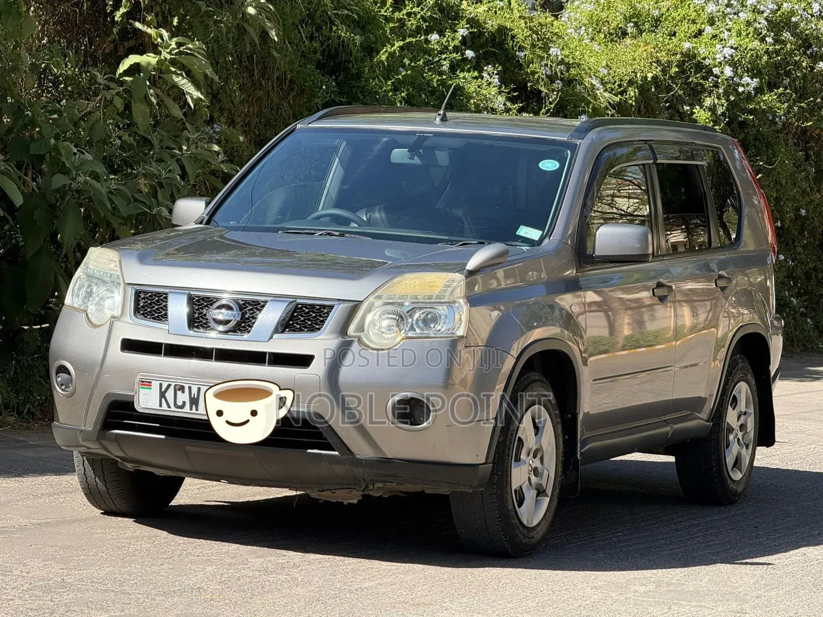 Nissan X-Trail 2012 Gray