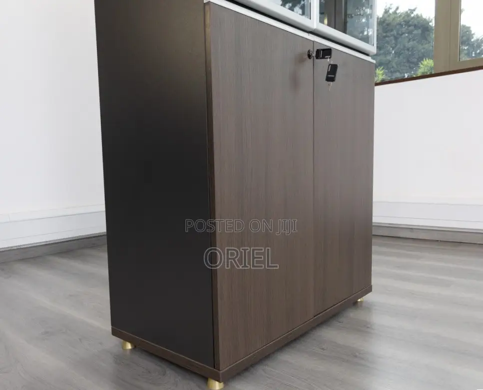 2-Door Wooden Office Cabinet : Modern Wooden Storage Cabinet