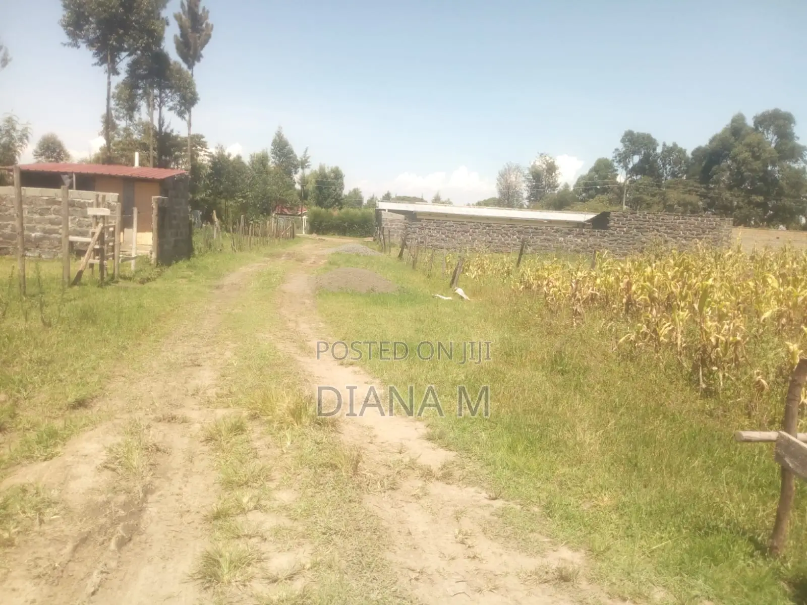 50*100 for Sale in Lanet Kariminu