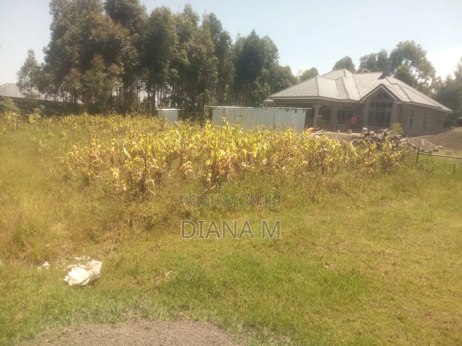 50*100 for Sale in Lanet Kariminu