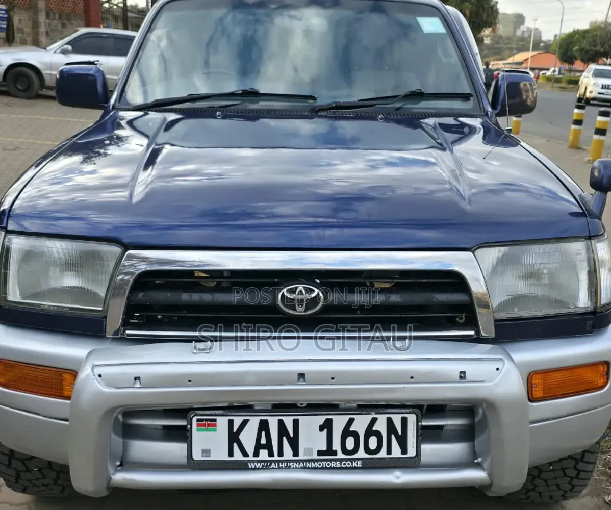 Toyota Hilux Surf 2004 Blue