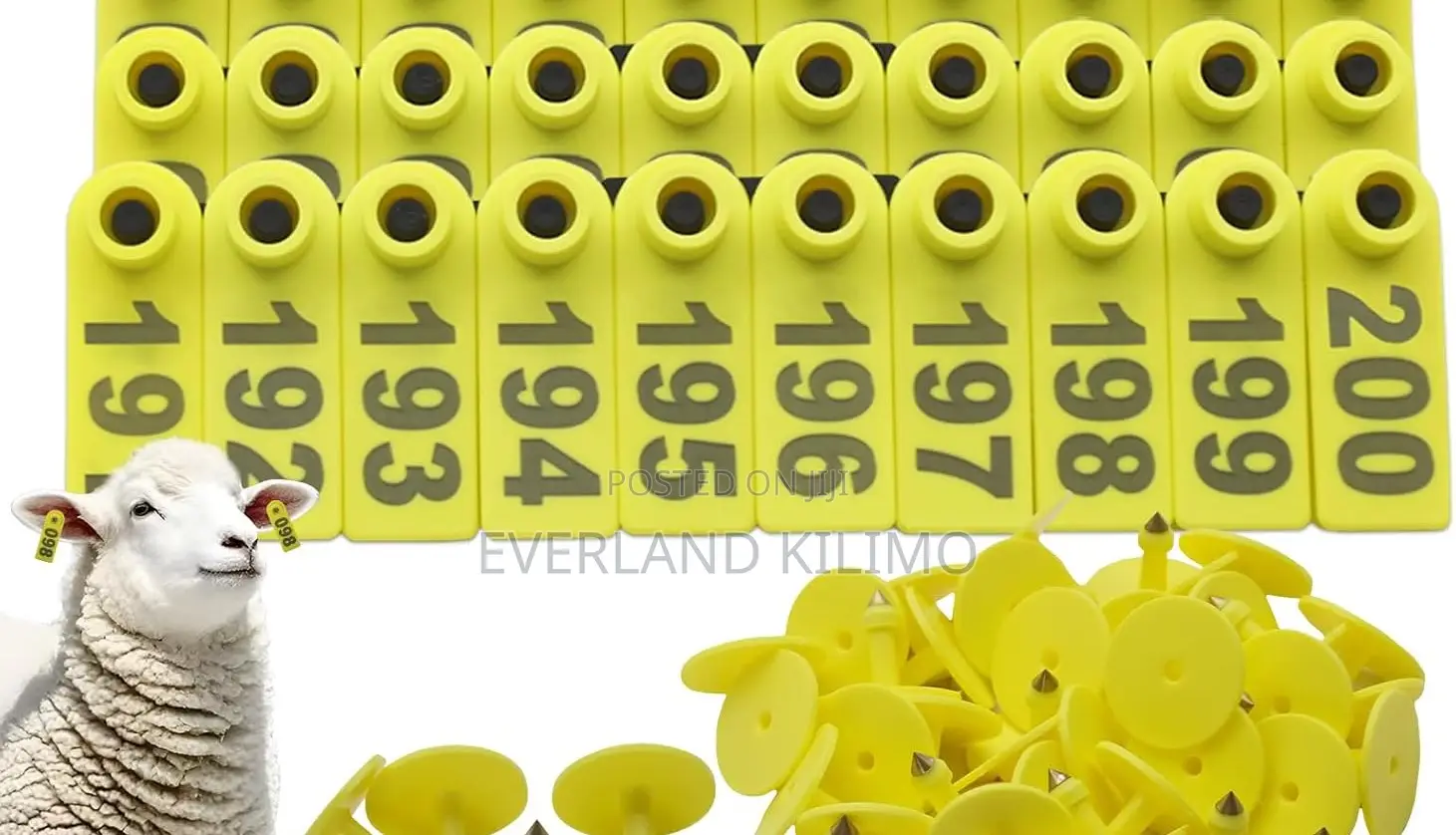 Farm Sheep Management Ear Slim Tags - Numbered