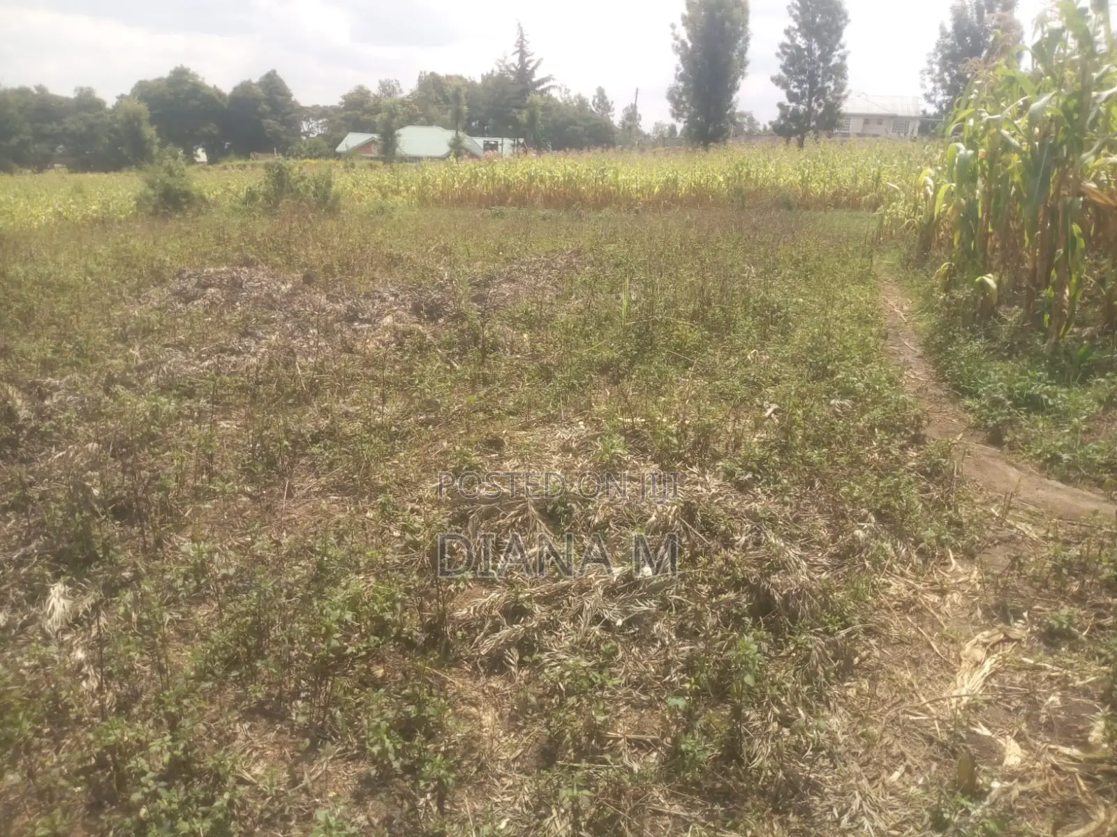 50*100 Plot on Sale in Mariguini, Nakuru