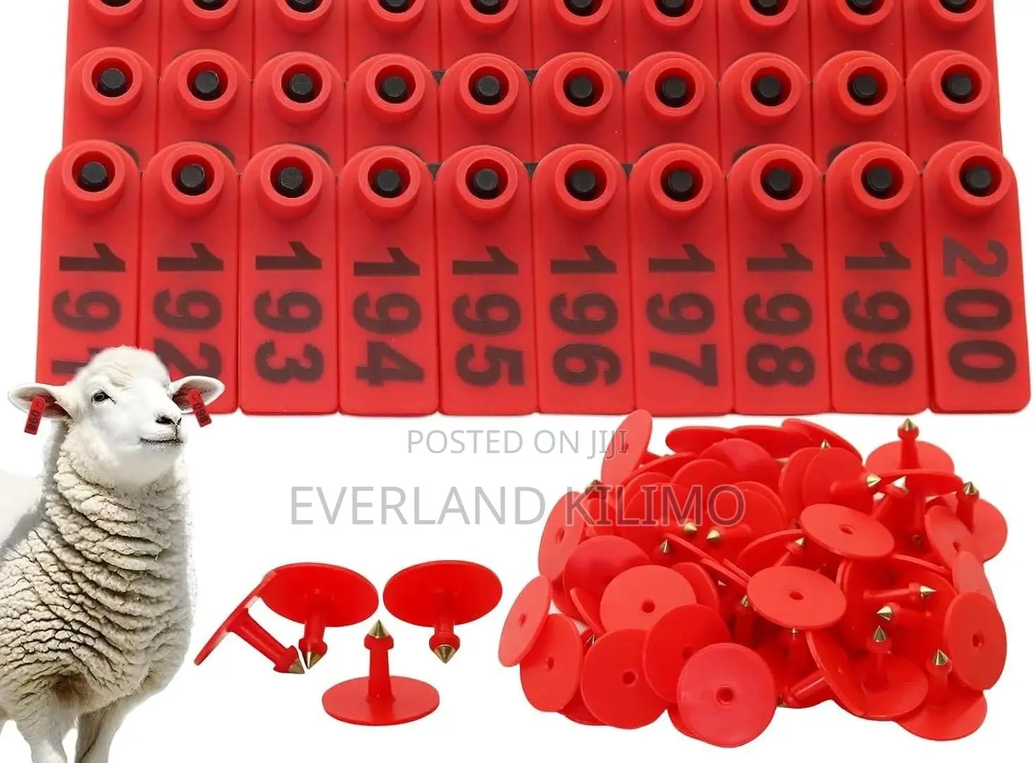 Fade-Resistant Slim Ear Tags for Goats and Sheeps - Numbered