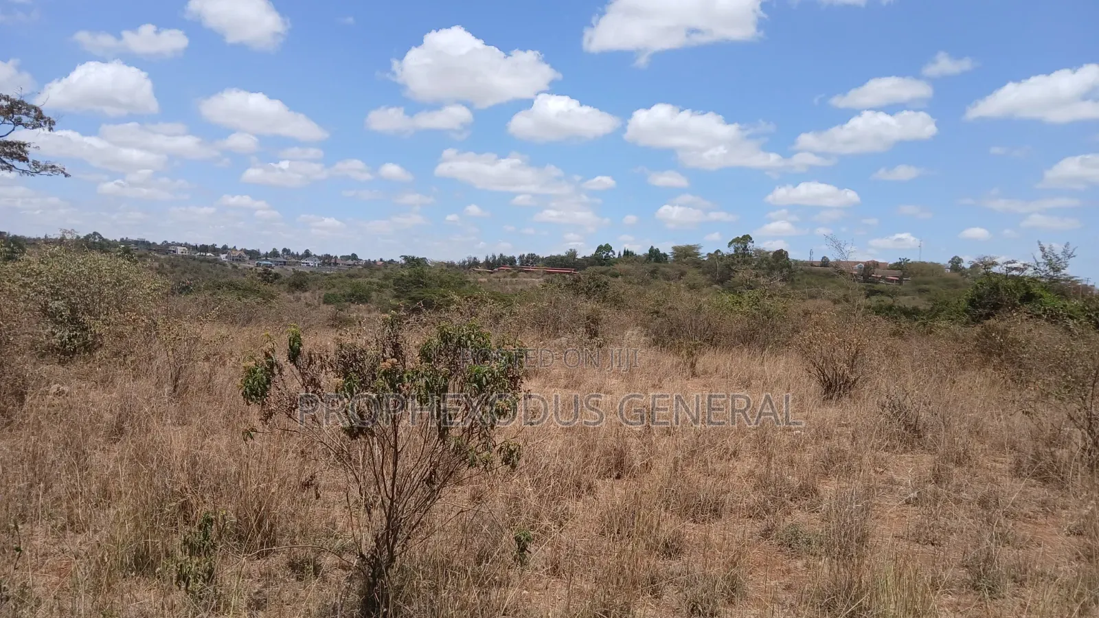 24 Acres Block for Sale Ln O/Rongai Maasi  Lodge