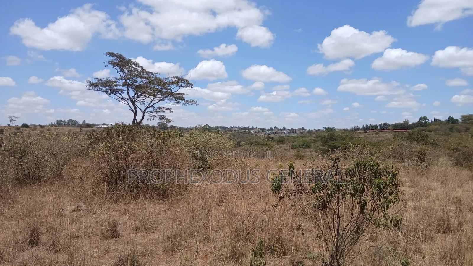 24 Acres Block for Sale Ln O/Rongai Maasi  Lodge