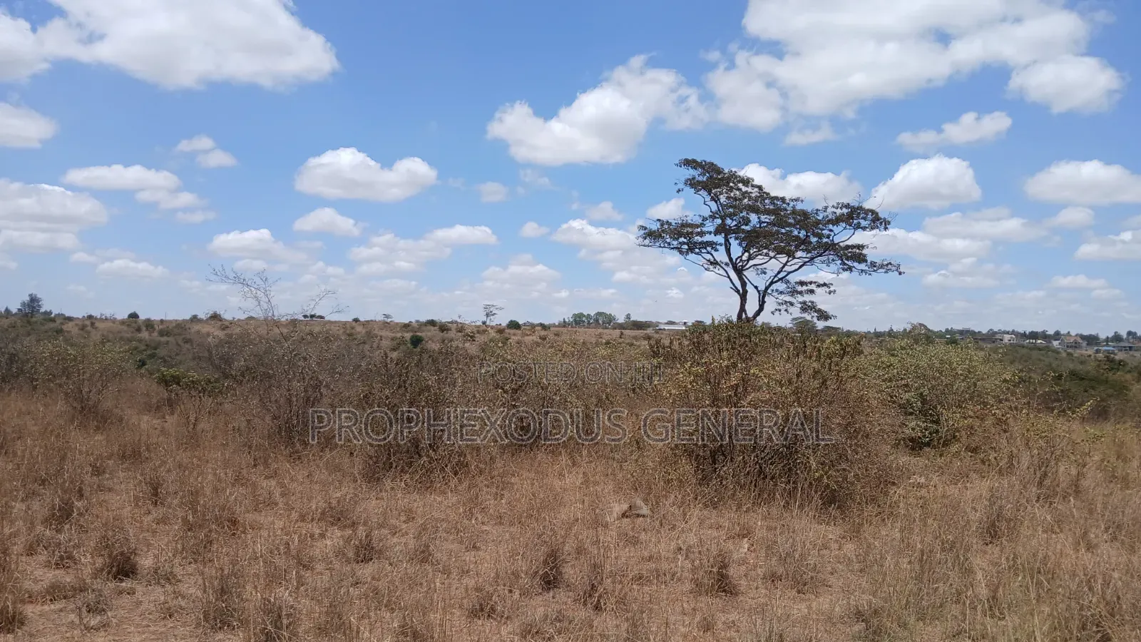 24 Acres Block for Sale Ln O/Rongai Maasi  Lodge