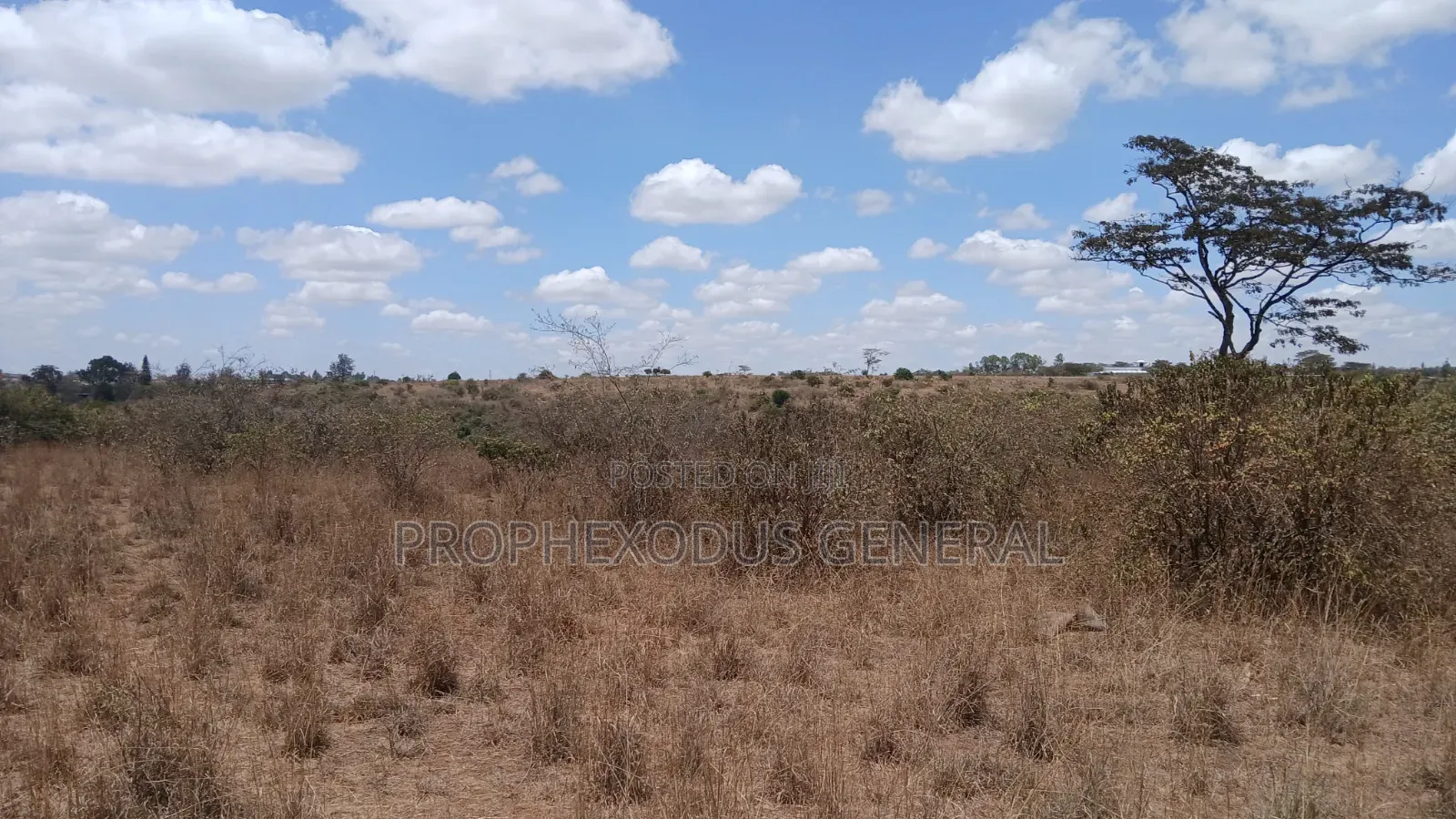 24 Acres Block for Sale Ln O/Rongai Maasi  Lodge
