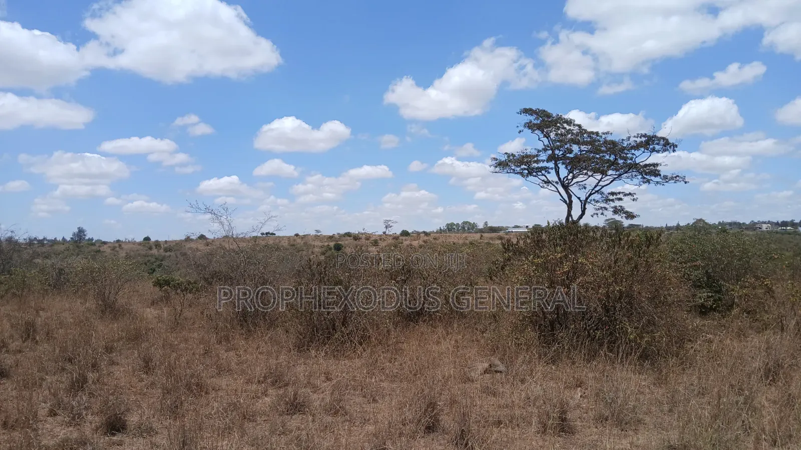 24 Acres Block for Sale Ln O/Rongai Maasi  Lodge