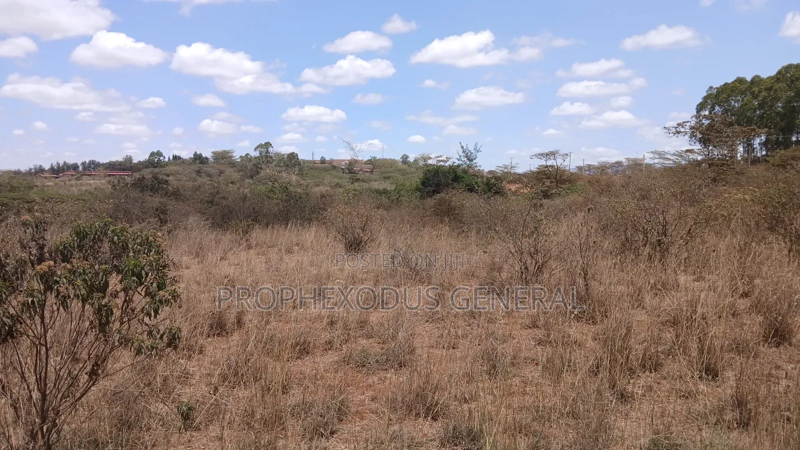 12 Acres for Sale Ln Ongata Rongai Maasi Lodge.