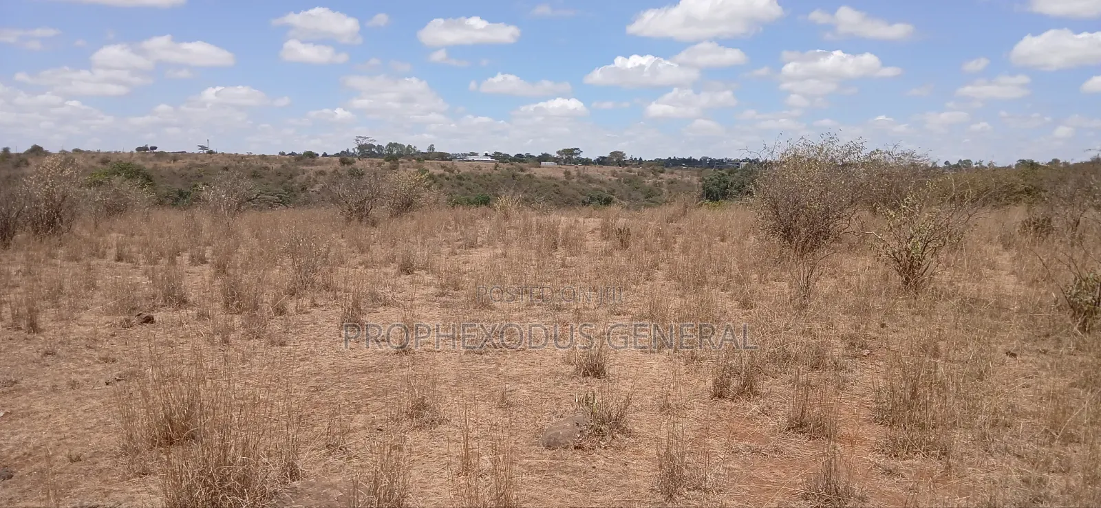 5 Acres Block for Sale Ln O/Rongai Maasi Lodge.
