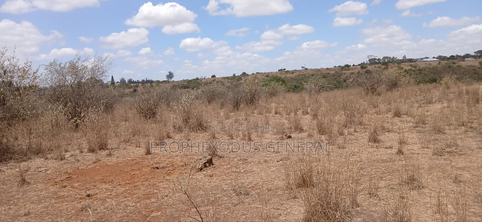 5 Acres Block for Sale Ln O/Rongai Maasi Lodge.
