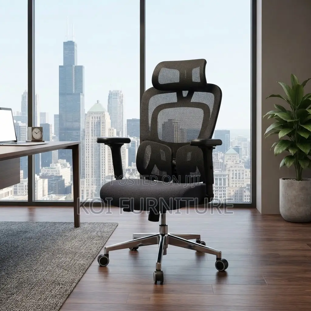 Office Chairs; Executive Dual Spine Support Orthopedic Chairs