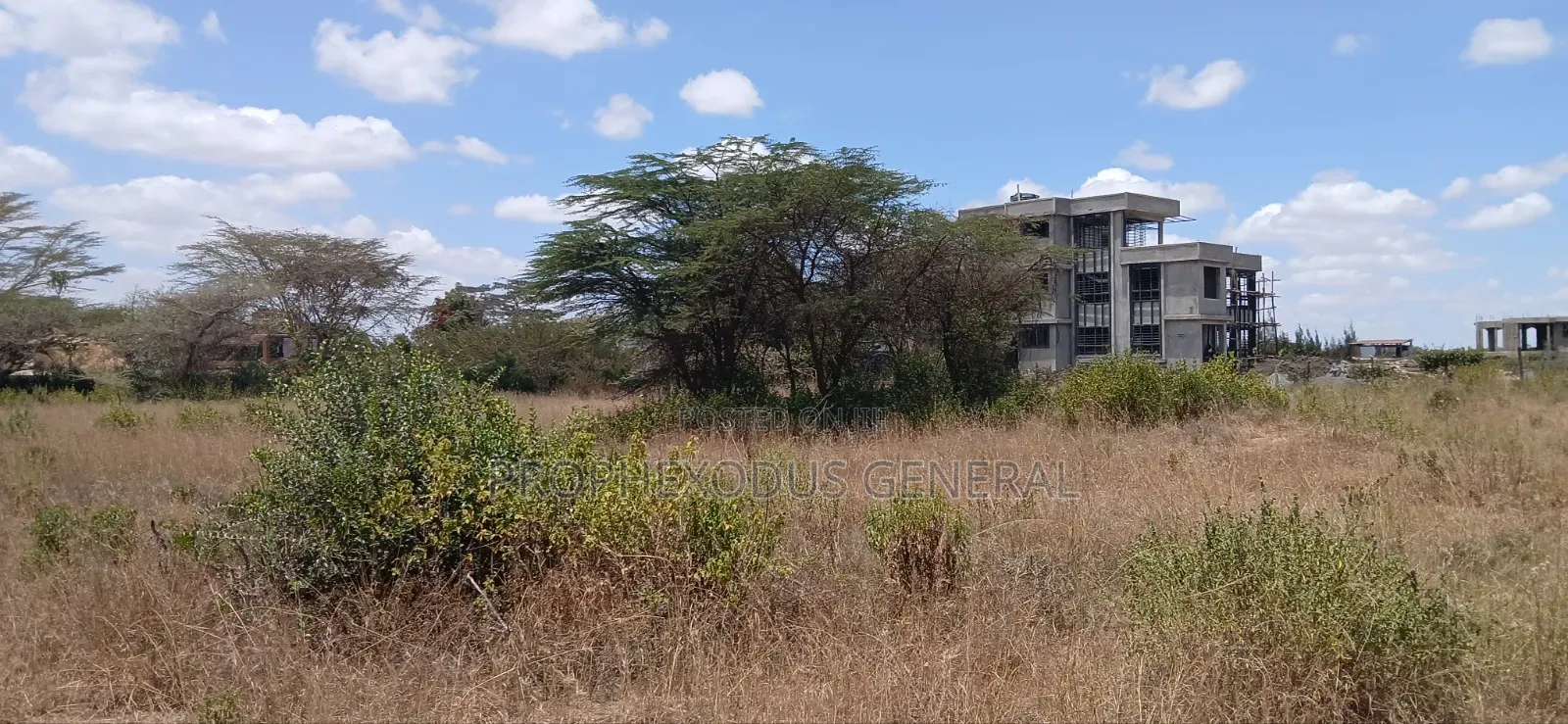 1/2 Acre Land for Sale Ln O/Rongai Maasi Lodge.