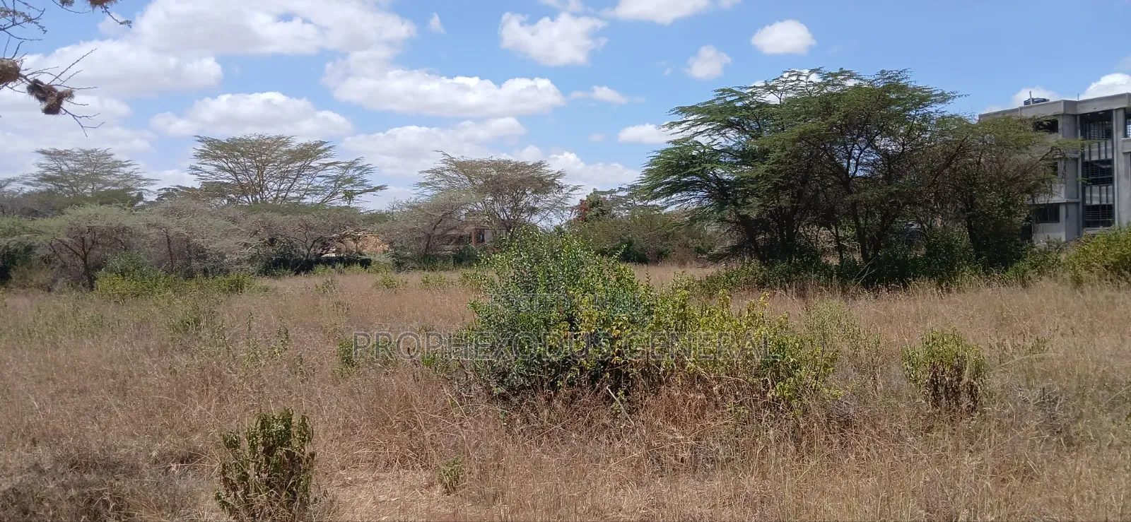 1/2 Acre Land for Sale Ln O/Rongai Maasi Lodge.