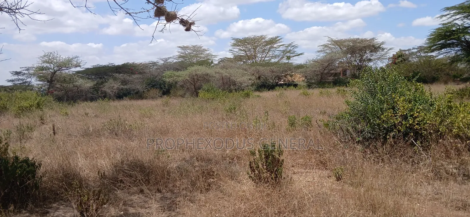 1/2 Acre Land for Sale Ln O/Rongai Maasi Lodge.