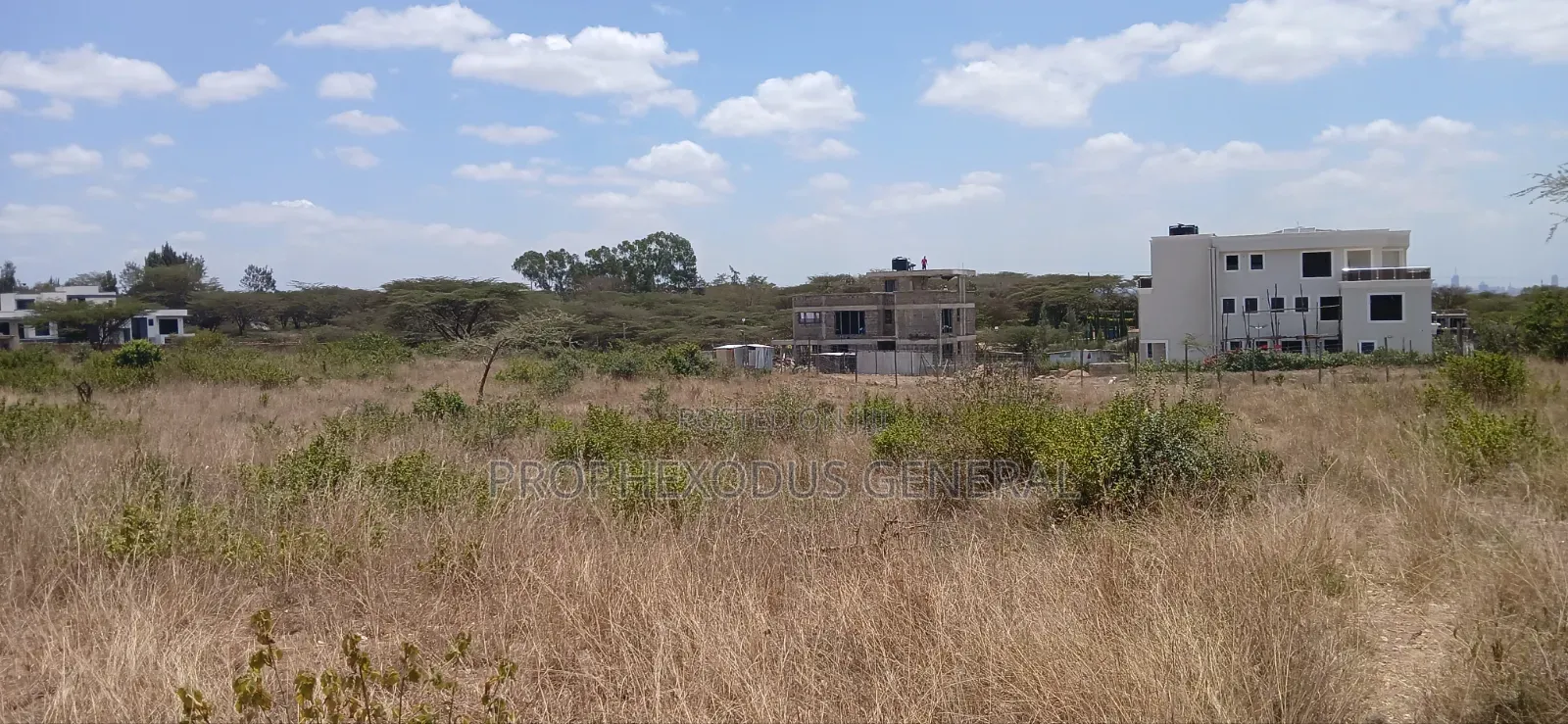 100ft by 100ft Plots for Sale Ln O/Rongai Maasi Lodge.