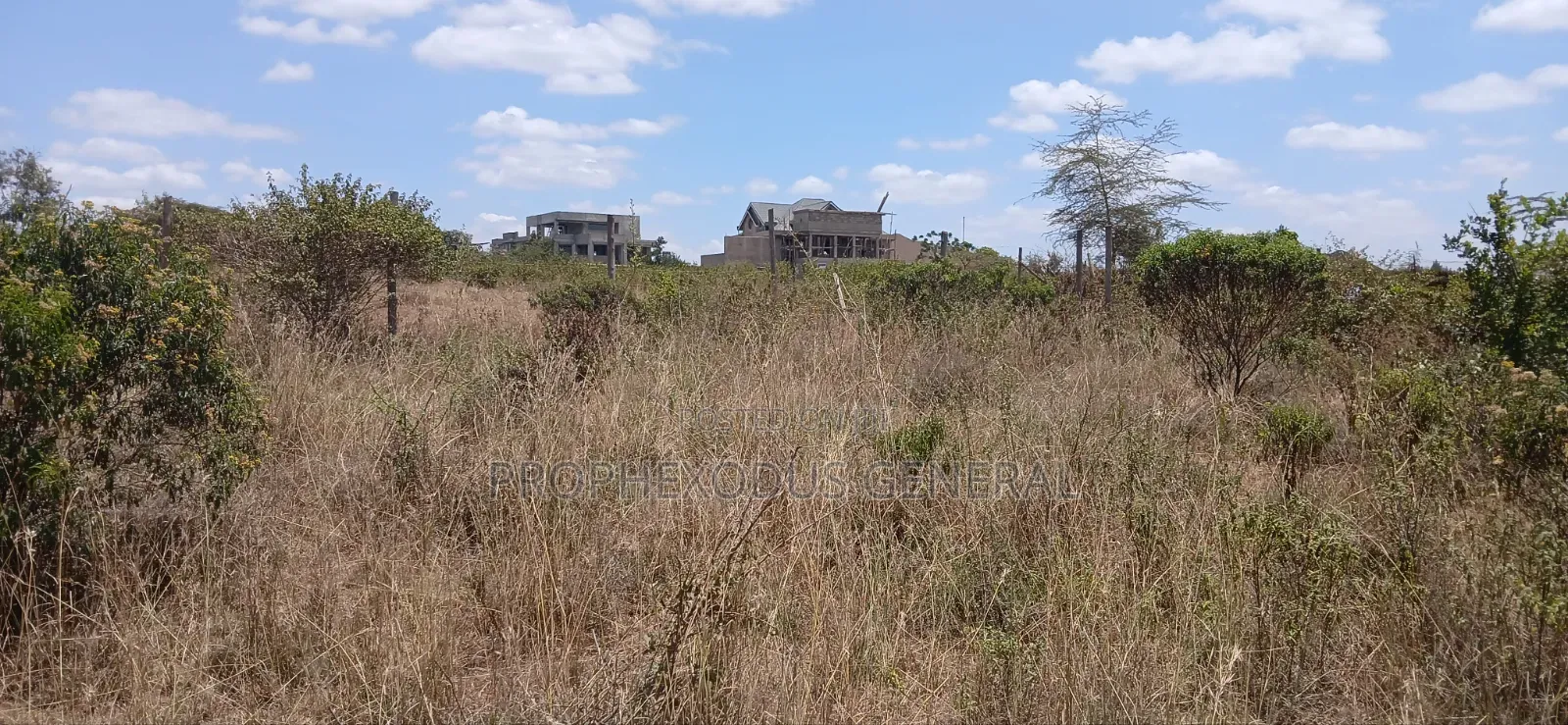 1/4 Prime Plots for Sale Ln O/Rongai Maasi Lodge..