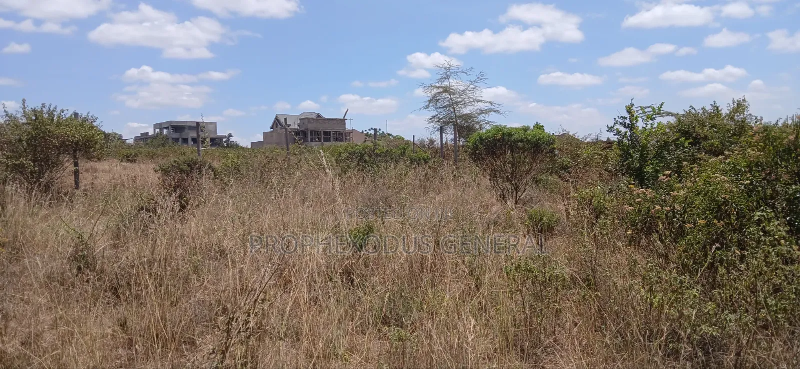 1/4 Prime Plots for Sale Ln O/Rongai Maasi Lodge..