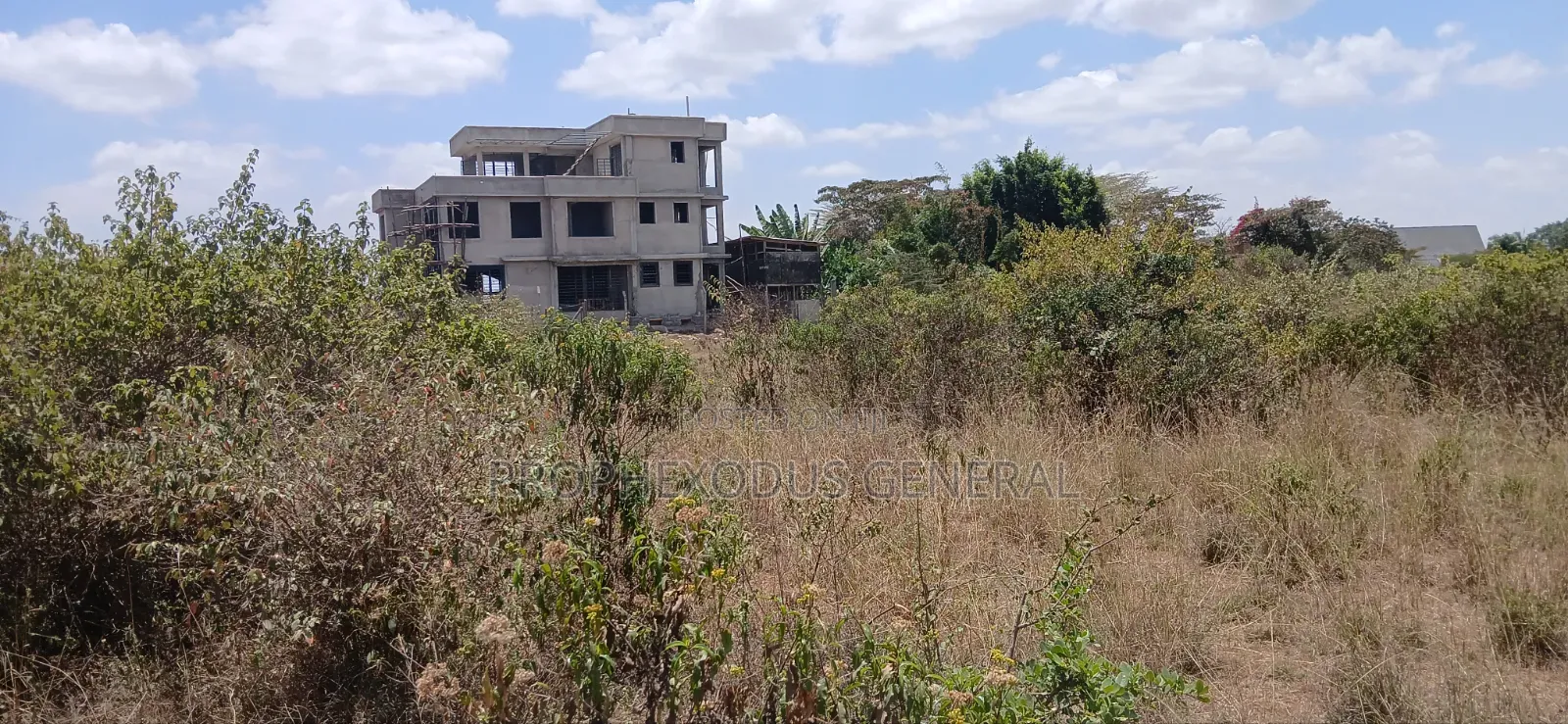 1/4 Prime Plots for Sale Ln O/Rongai Maasi Lodge..