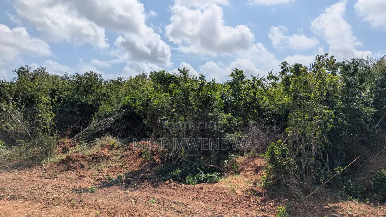 Land for Sale