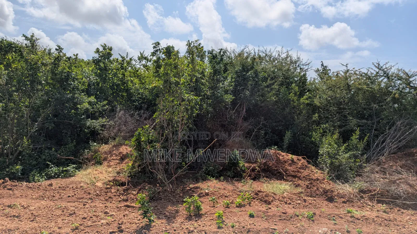 Land for Sale