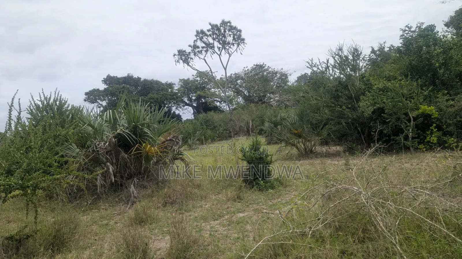 Land and Plots