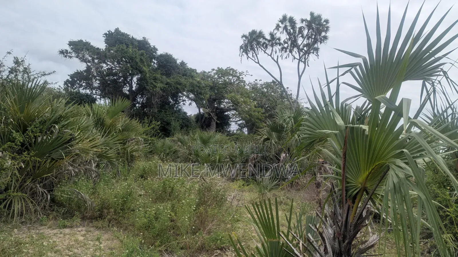 Land and Plots
