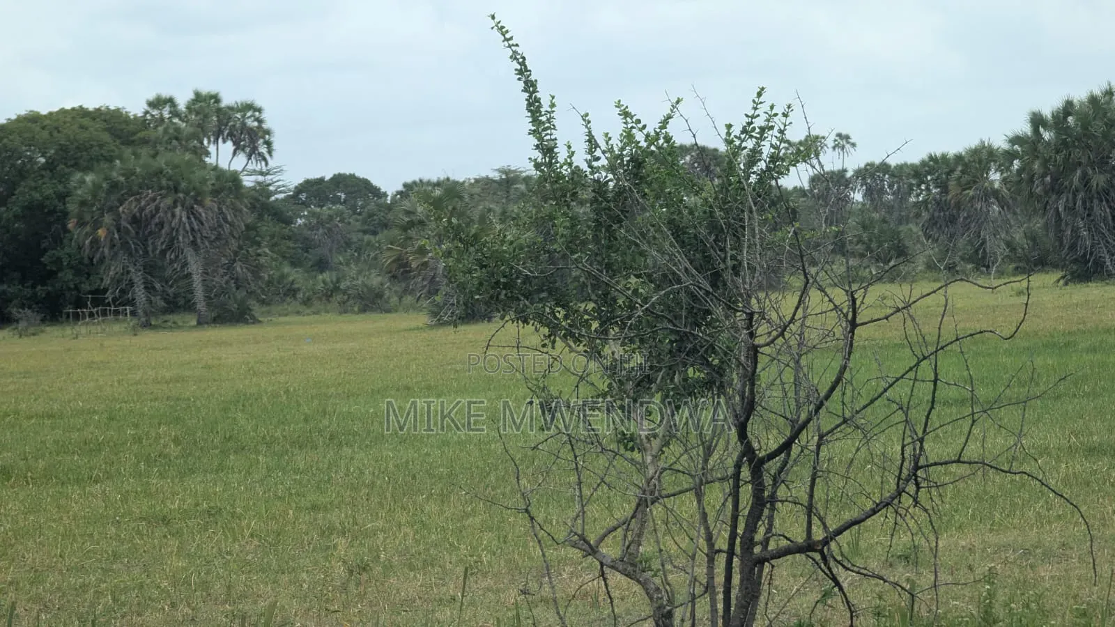 Land and Plots