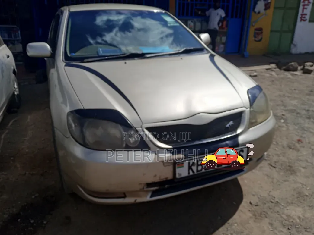 Toyota Allex 2005 Gold