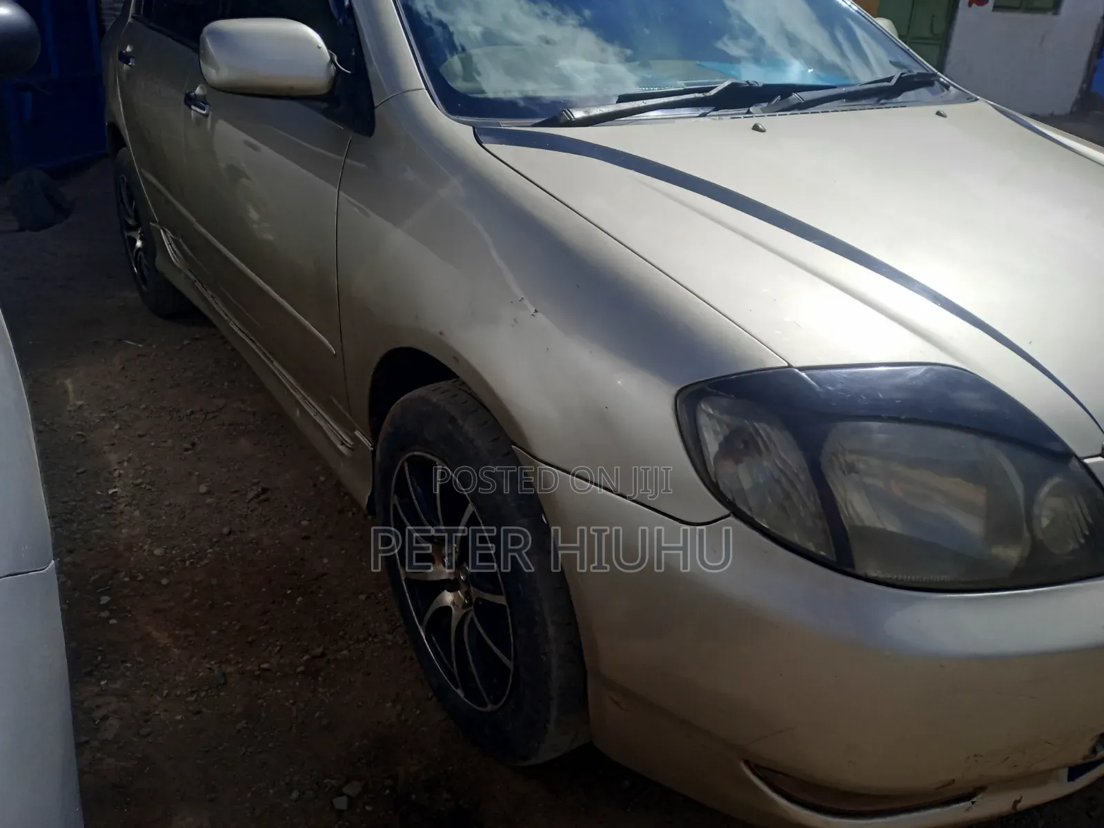 Toyota Allex 2005 Gold