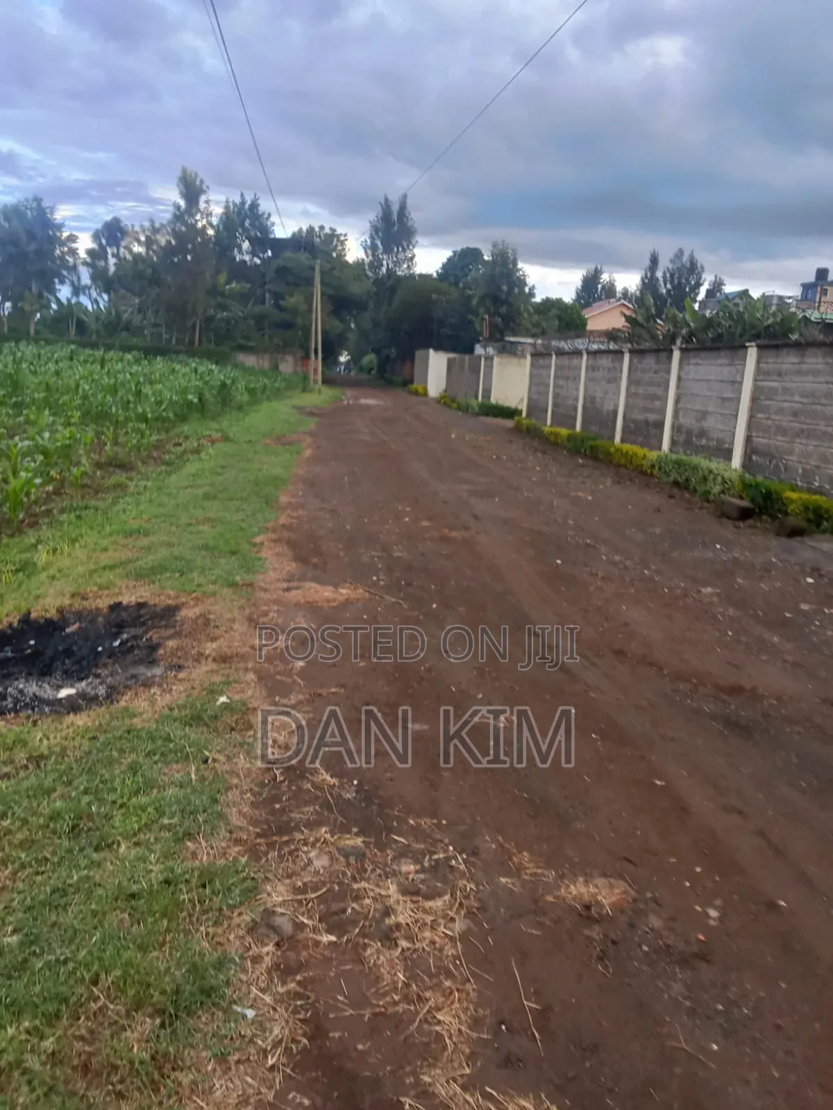 50by100ft Plot Commercial.