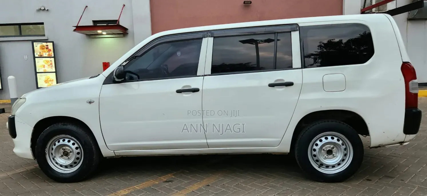 Toyota Probox 2014 Pearl