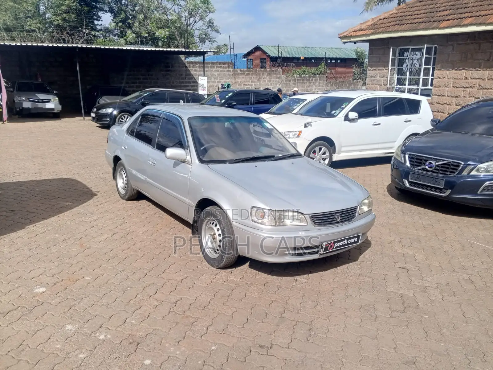 Toyota Corolla 1998 Gray