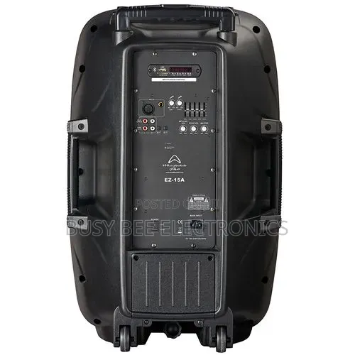 EZ-15A Portable Bluetooth Speaker With 2 Wireless Microphone