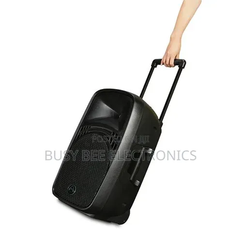 EZ-15A Portable Bluetooth Speaker With 2 Wireless Microphone