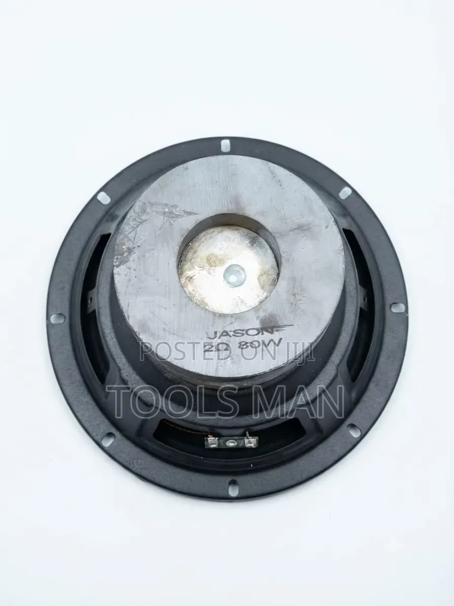 Double Coil Subwoofer Speaker Jason 80W 2Ω 8inch.