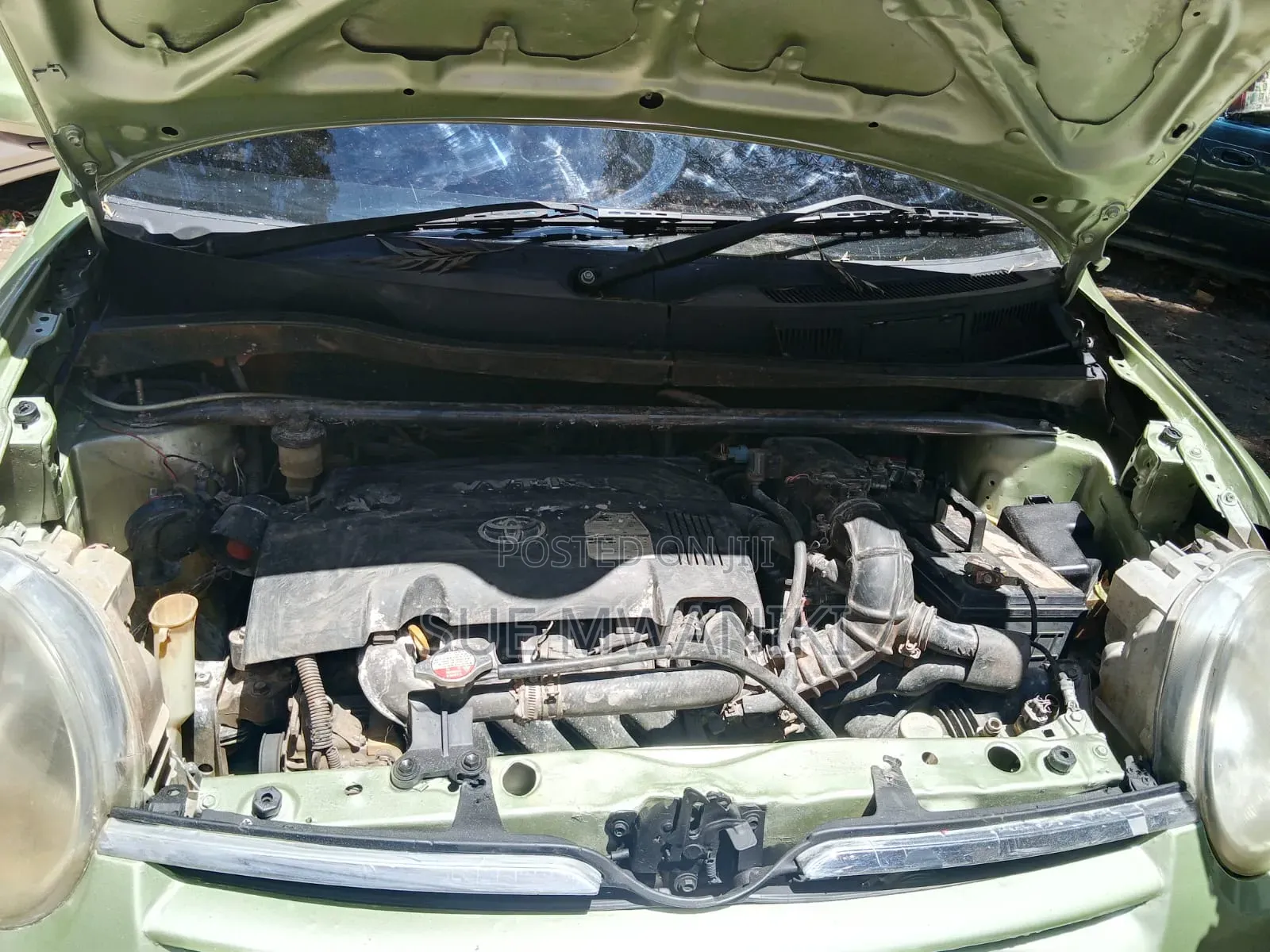 Toyota Sienta 2010 Green