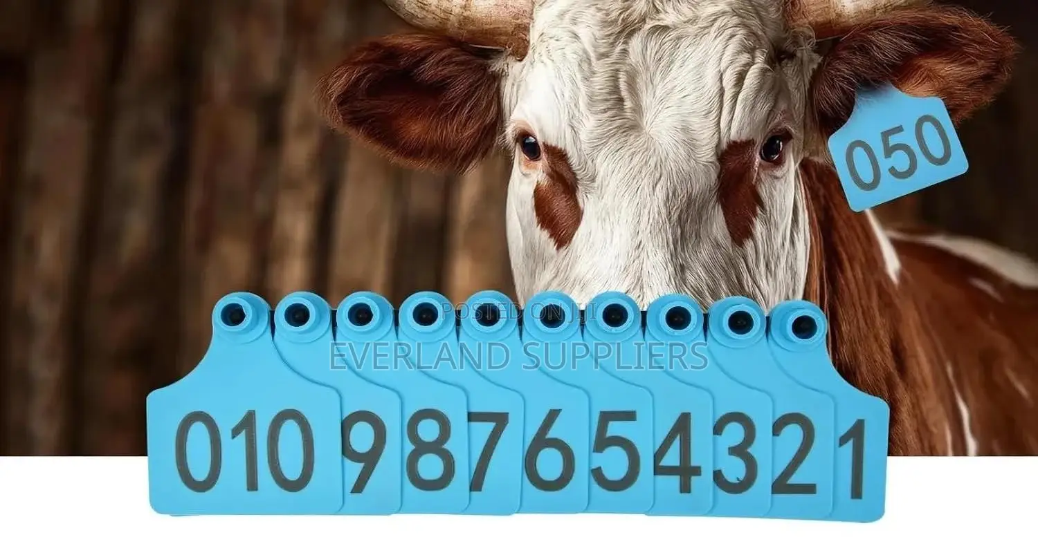 Medium Yard Numbered Ear Tags