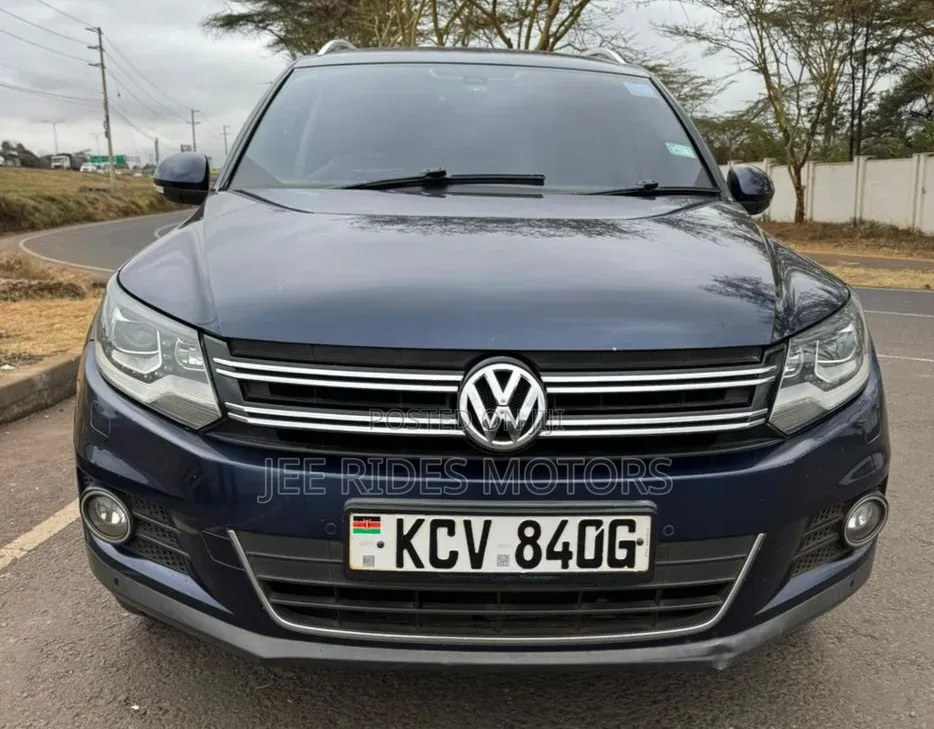 Volkswagen Tiguan 2014 Gray